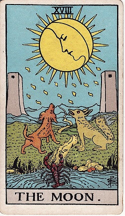 XVIII. A Hold