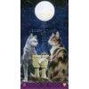 Kép 2/5 - Tarot of the Pagan Cats