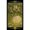 Kép 6/13 - Kelyhek 2 - Tarot of the Secret Forest
