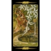 Kép 12/13 - XII - A Csillag - Tarot of the Secret Forest