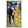 Kép 8/11 - Wise Dog Tarot