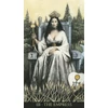 Kép 3/14 - The Soul Seeker Tarot